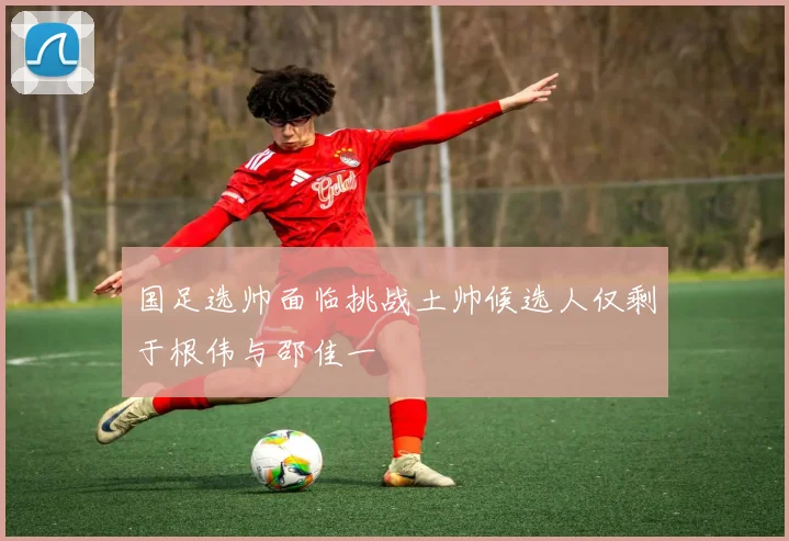 国足选帅面临挑战土帅候选人仅剩于根伟与邵佳一